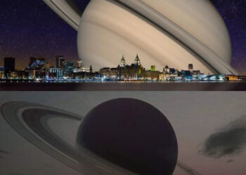 21 vizuális összehasonlítás, ami új szemszögből láttatja a hétköznapi dolgokat