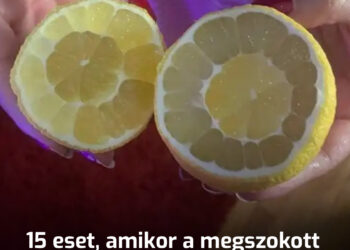 15 eset, amikor az emberek meglepődtek a megszokott dolgok belsején