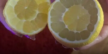 15 eset, amikor az emberek meglepődtek a megszokott dolgok belsején