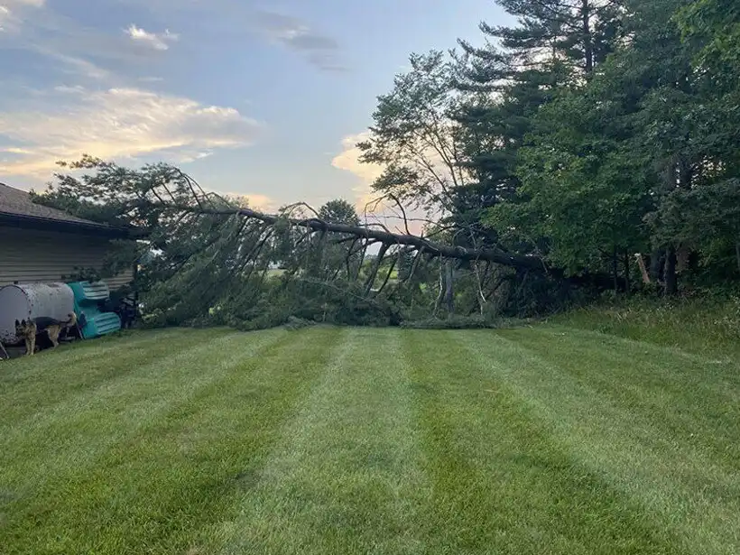 Balhé, Bosszúság, csalódás, Élet, Helyzetek, humor, képek, Öröm, problémák, vicces