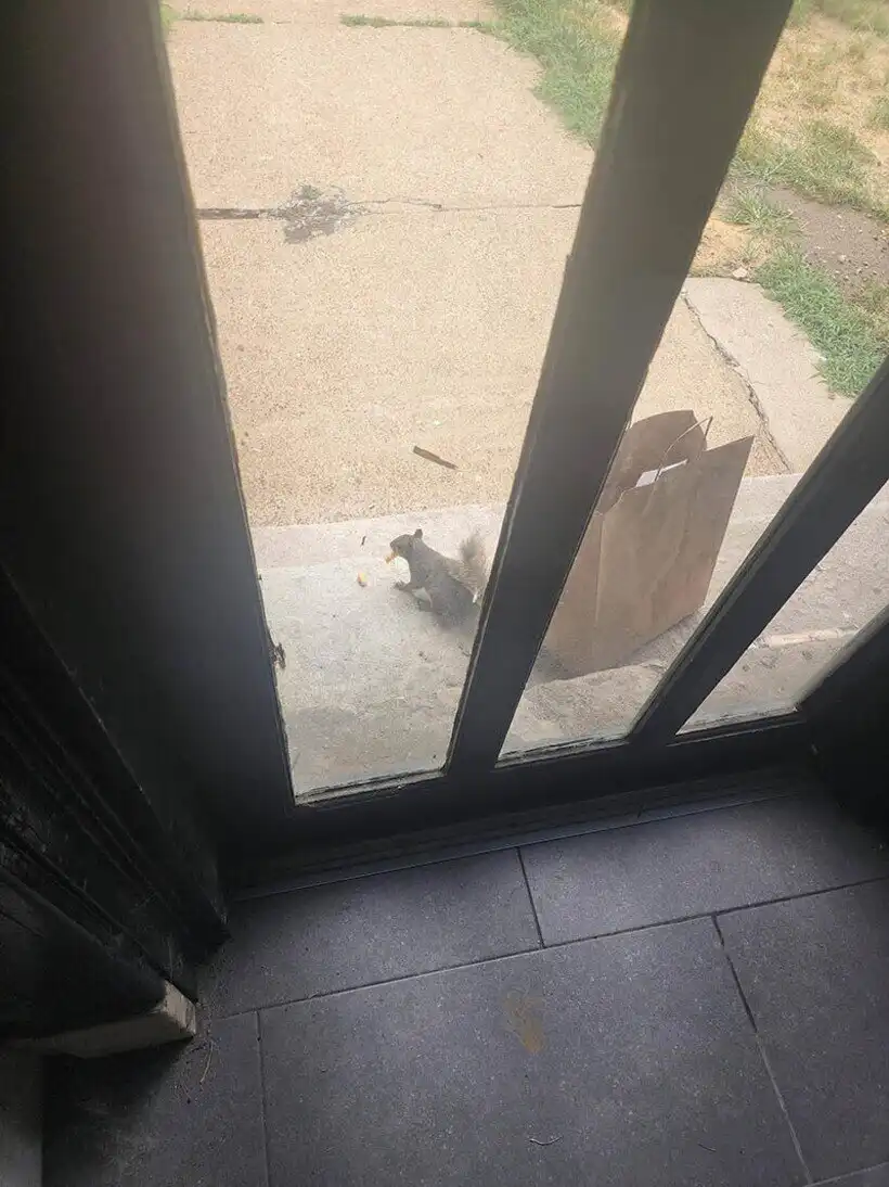 Balhé, Bosszúság, csalódás, Élet, Helyzetek, humor, képek, Öröm, problémák, vicces