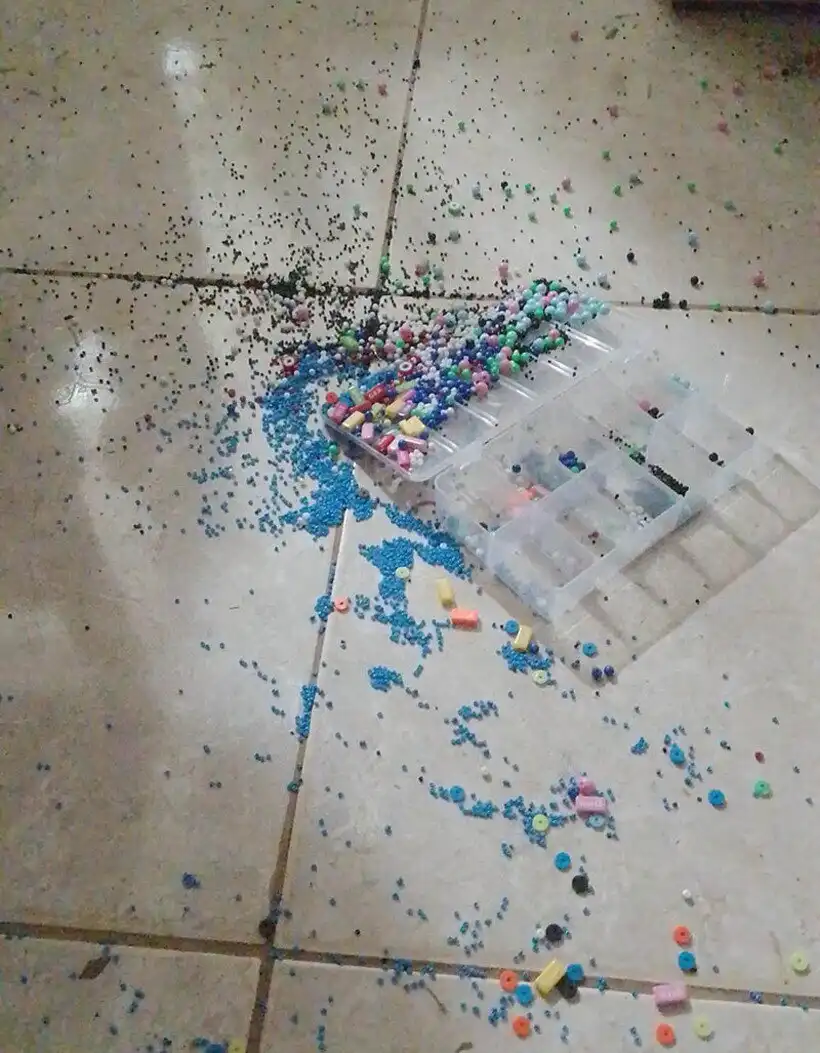 Balhé, Bosszúság, csalódás, Élet, Helyzetek, humor, képek, Öröm, problémák, vicces