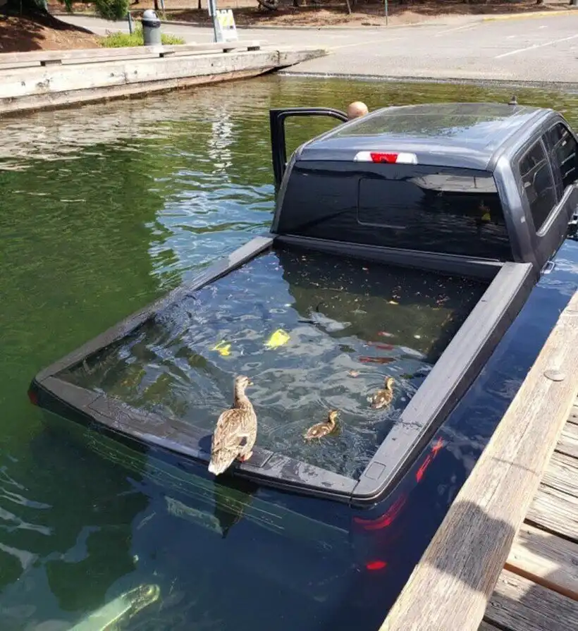 Balhé, Bosszúság, csalódás, Élet, Helyzetek, humor, képek, Öröm, problémák, vicces