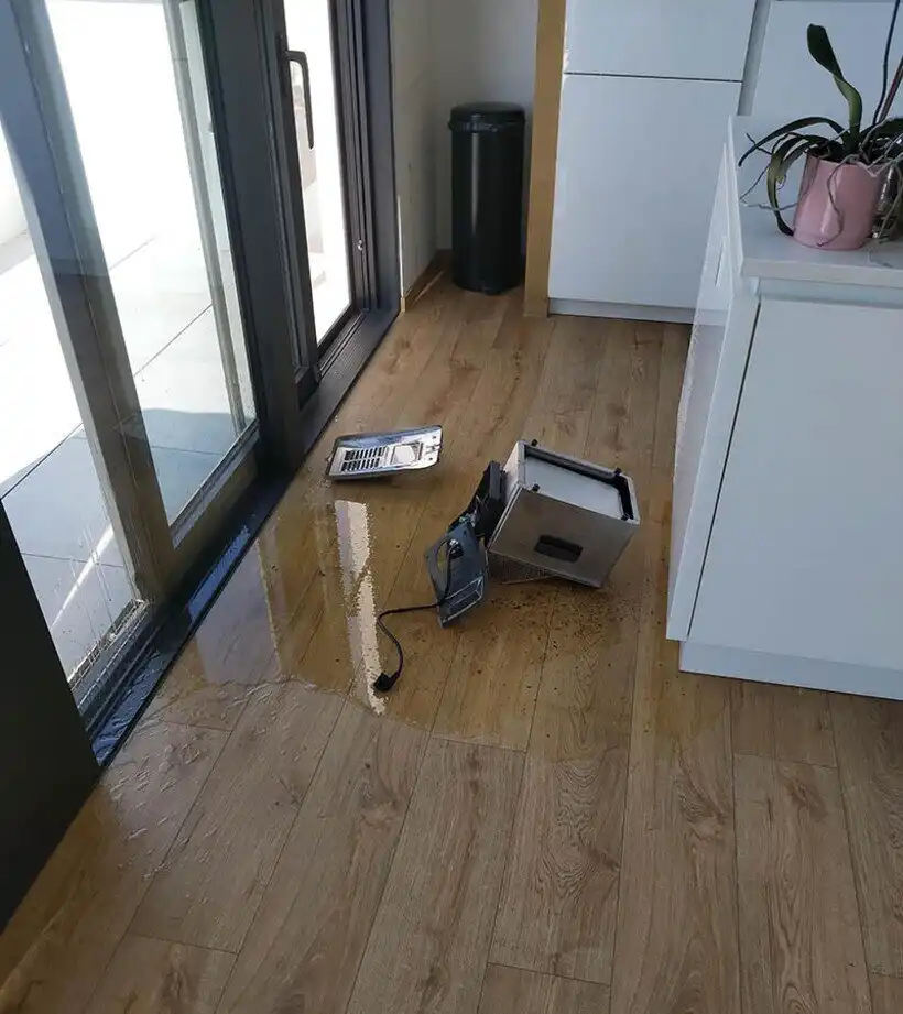 Balhé, Bosszúság, csalódás, Élet, Helyzetek, humor, képek, Öröm, problémák, vicces