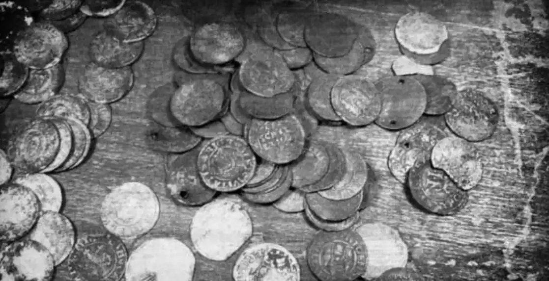 állatok, anomáliák, bizarr, furcsaságok, hihetetlen, időjárás, jelenségek, rejtélyek, természet, tudomány