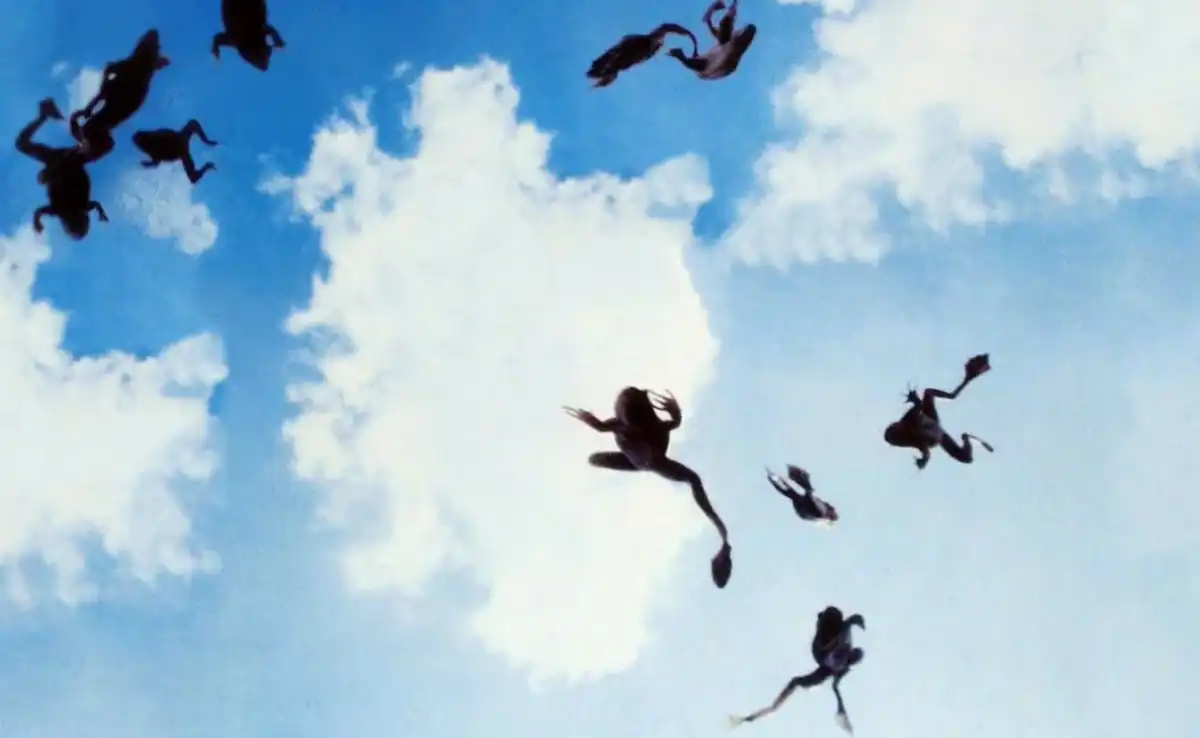 állatok, anomáliák, bizarr, furcsaságok, hihetetlen, időjárás, jelenségek, rejtélyek, természet, tudomány