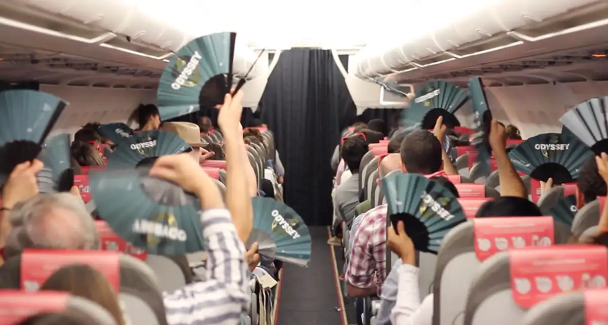 hivatás, konfliktus, munka, nehézségek, repülés, stewardess, turizmus, utasok, utazás, viselkedés