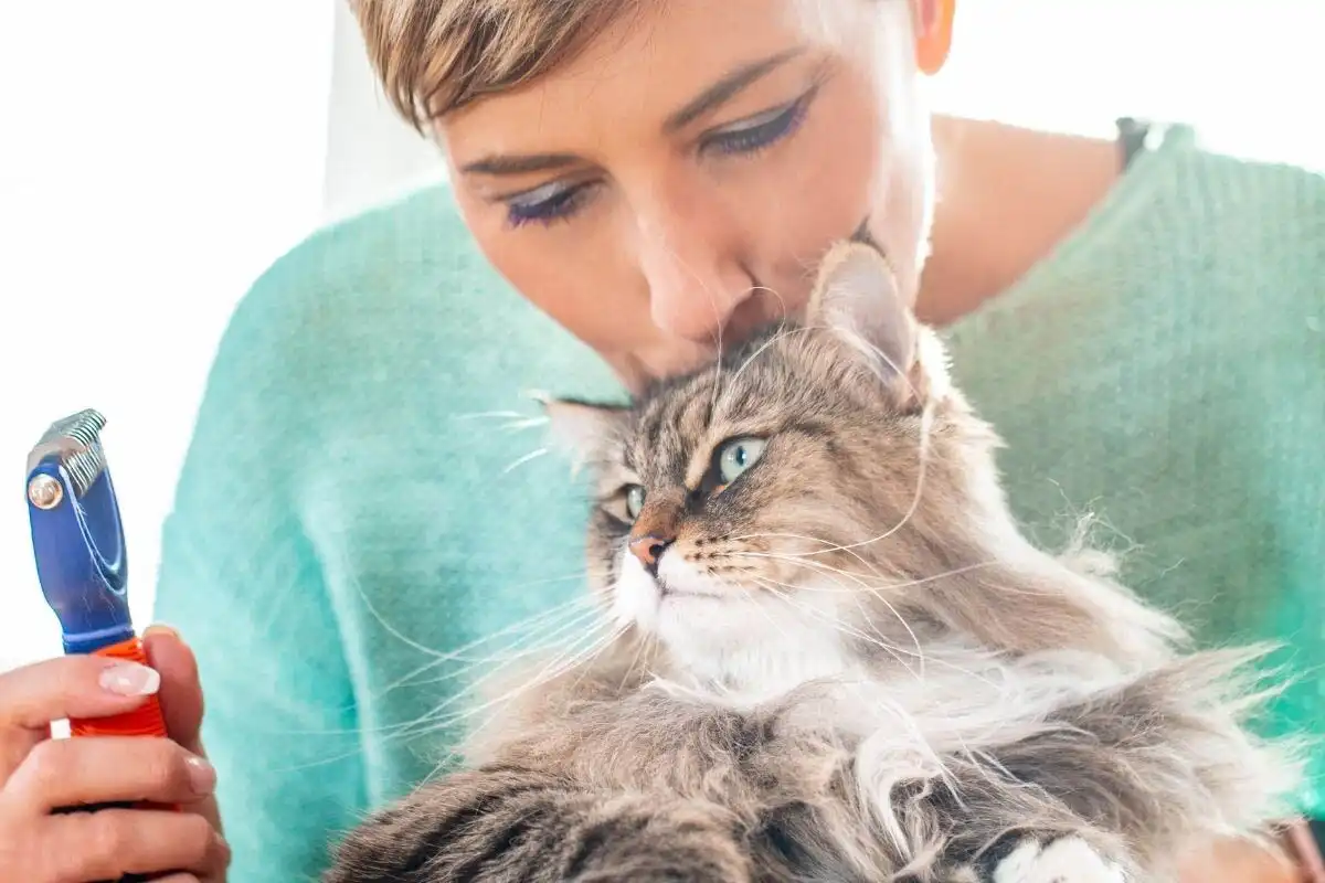 bizalom, érzelmek, gondozás, higiénia, kommunikáció, kötődés, macska, pszichológia, szeretet, viselkedés