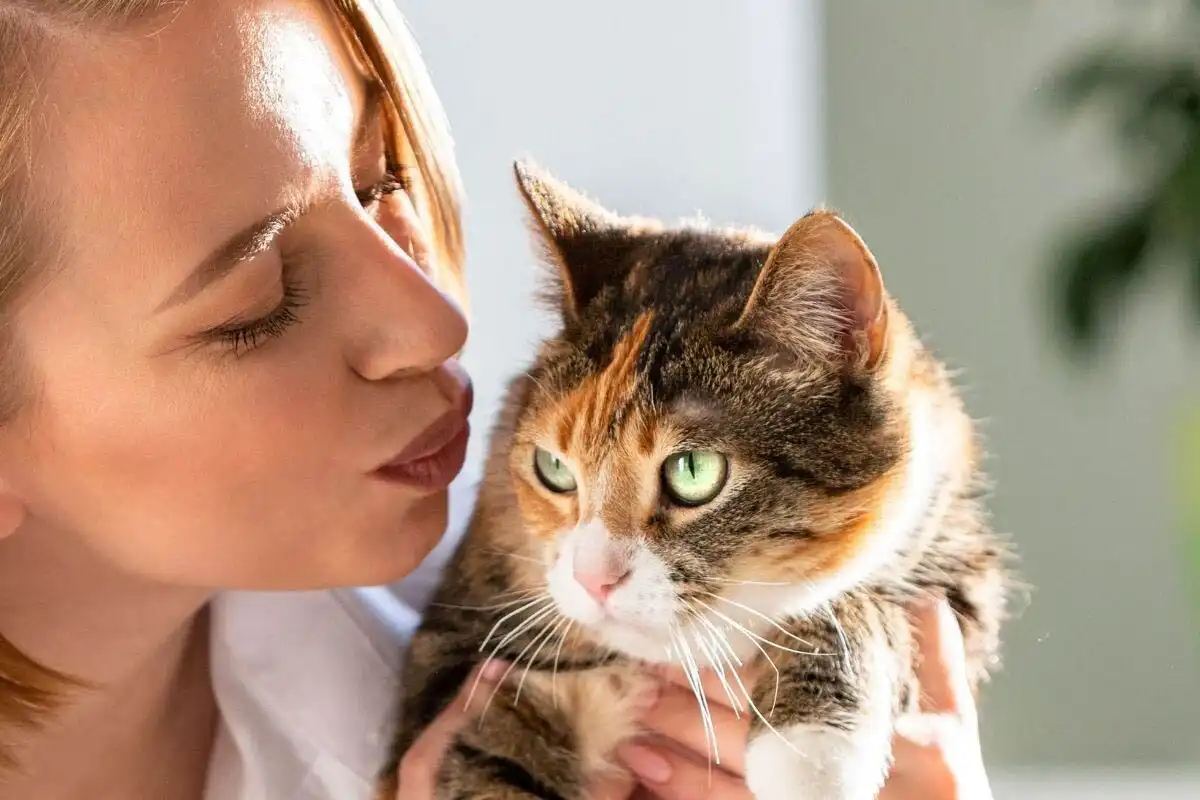 bizalom, érzelmek, gondozás, higiénia, kommunikáció, kötődés, macska, pszichológia, szeretet, viselkedés