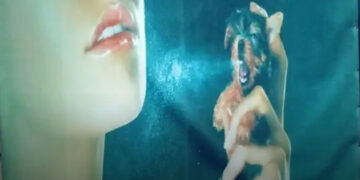 20+ fotó, amitől leesik az állad – szó szerint!