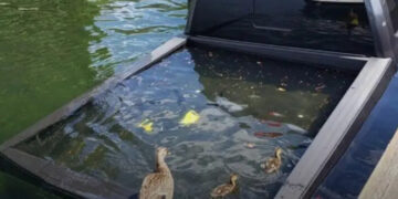 16 bosszantó szituáció, amelyek annyira drámaiak, hogy együttérzést váltanak ki belőled