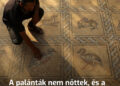 A palánták nem gyökereztek, és a gazda úgy döntött, kideríti az okot – meglepődött, amikor egy ősi mozaikot talált a kiásott gödör alján