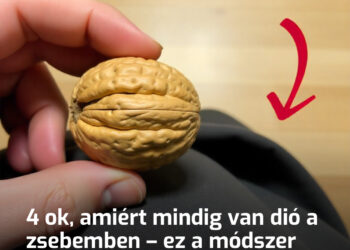 4 ok, amiért mindig van dió a zsebemben – ez a módszer nálunk generációról-generációra öröklődik