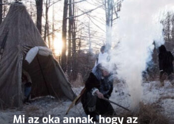 Miért választják az északi népek a nedves tűzifát a száraz helyett?