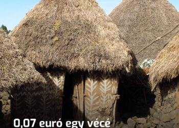 0,07 euró egy vécé használatáért: Kenyában már látszik a világ jövője
