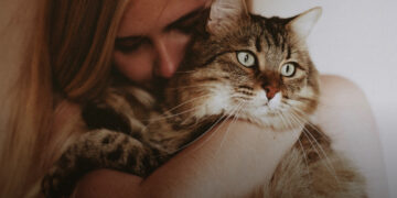 Hogyan érzik magukat a macskák, amikor puszilgatjuk őket? Tudósok válaszolnak
