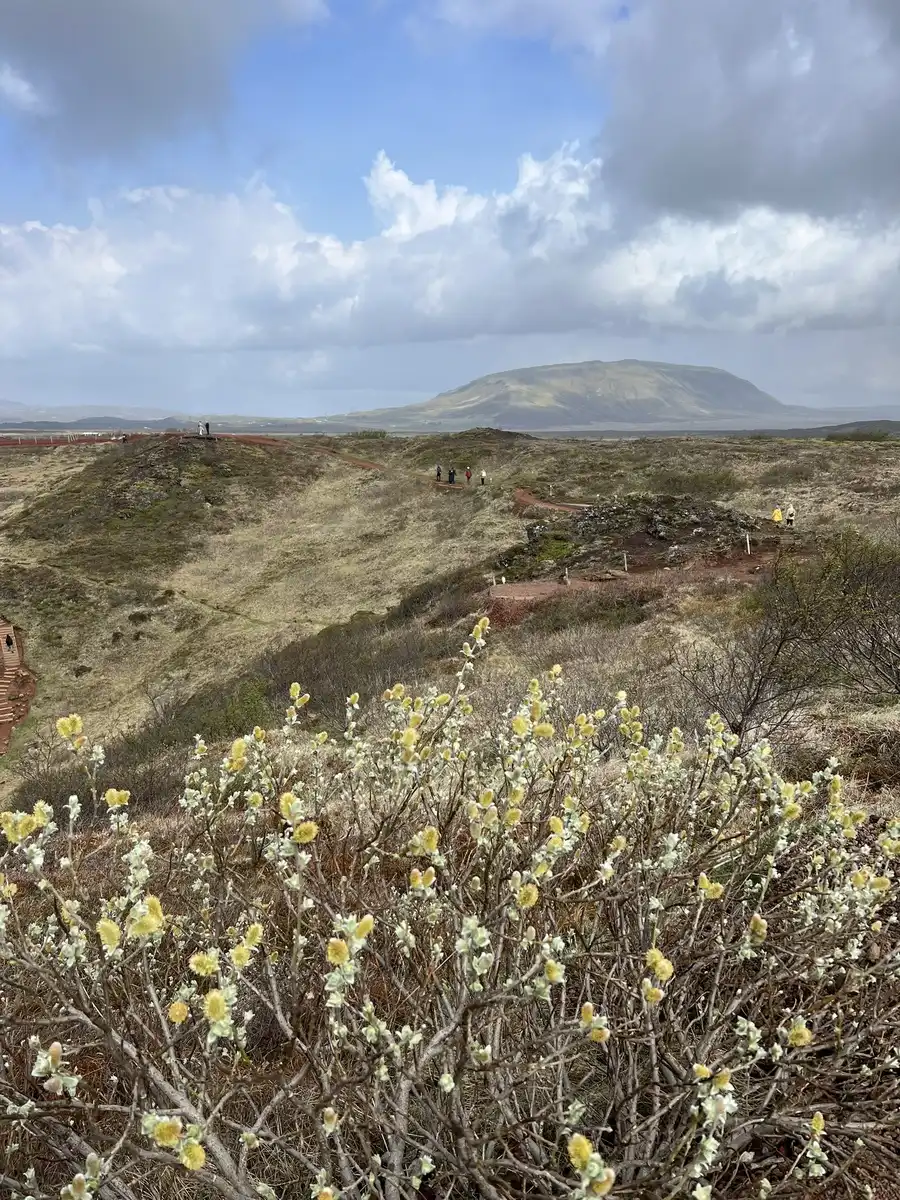 autóbérlés, európai utazás, galéria, geotermikus energia, Izland, külföldi életmód, nyaralási tippek, olcsó repülőjegy, Reykjavík, szállásfoglalás