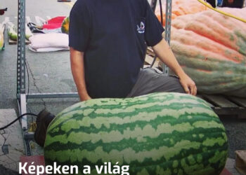 Válogatott képek azoknak, akik szeretnék újra rácsodálkozni a világ váratlanságára – 20+ fotó