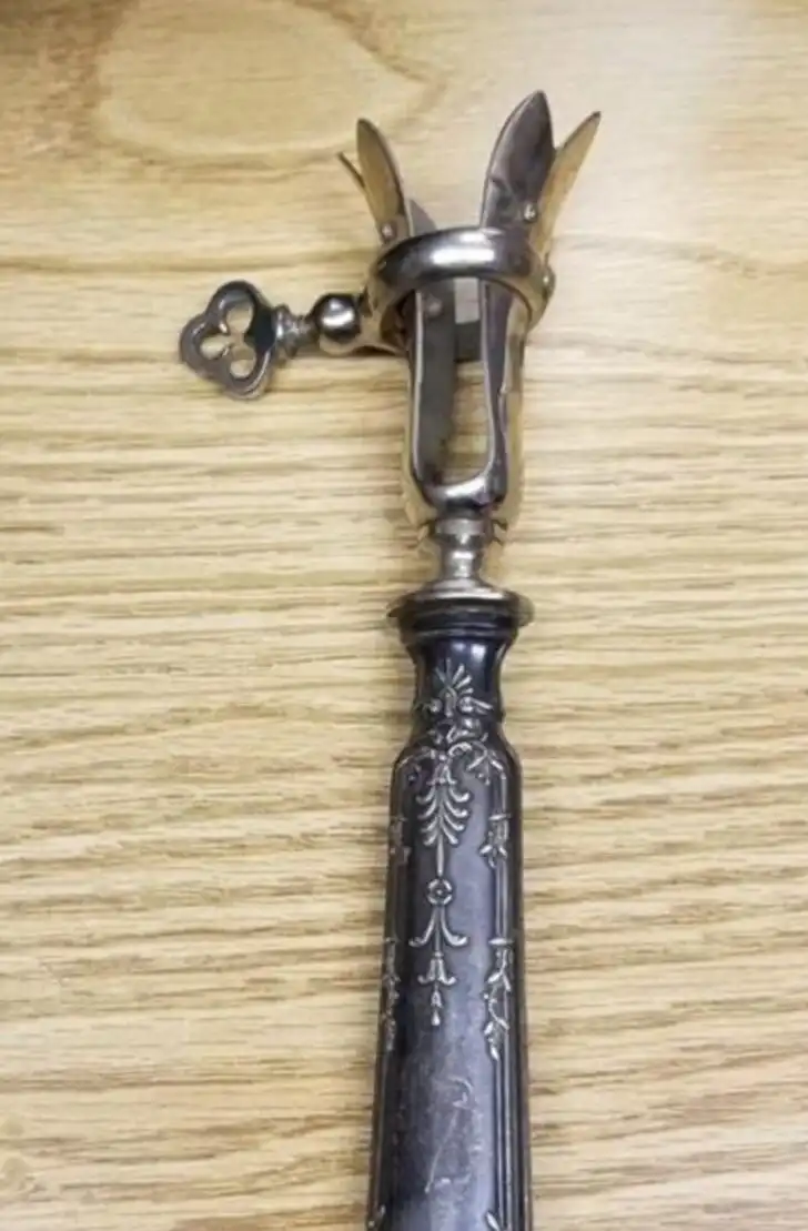 érdekesség, felfedezés, furcsaság, Lelet, magyarázat, régiség, rejtély, ritkaság, természet, történelem
