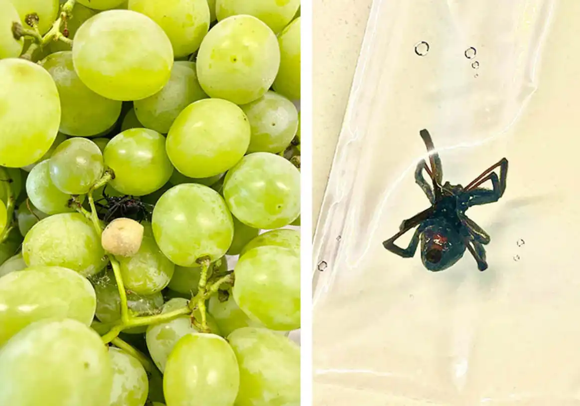 baleset a fürdőszobában, bútorvásárlás, házhozszállítás, háztartási balesetek, lakásbiztosítás, mindennapi bosszúságok, törött üvegasztal, új televízió