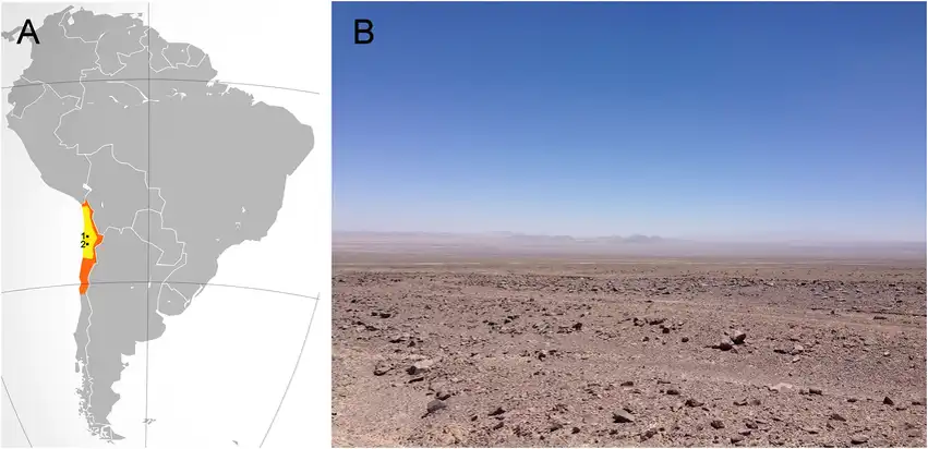 Andok, Atacama-sivatag, Chile nyaralás, Dél-Amerika, exotikus utazás, földrajz, Humboldt-áramlás, kalandtúra, San Pedro de Atacama