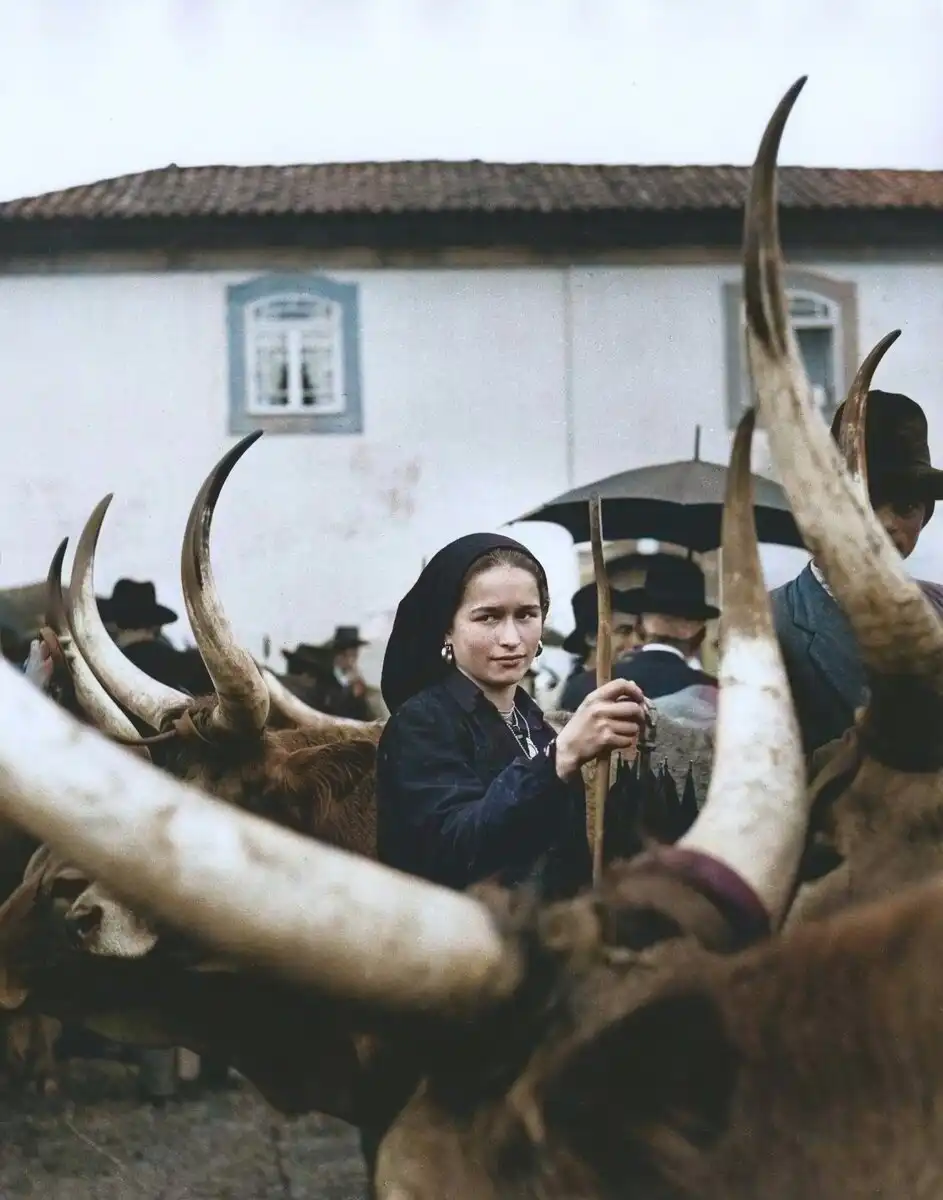 európai utazás, fotózás, nyaralás, Oktoberfest, olaszország, Párizs, történelem, városnézés, velence